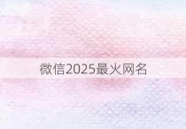 微信2025最火网名