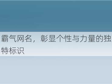 霸气网名，彰显个性与力量的独特标识