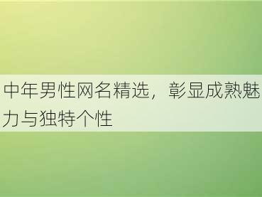 中年男性网名精选，彰显成熟魅力与独特个性