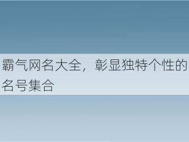 霸气网名大全，彰显独特个性的名号集合