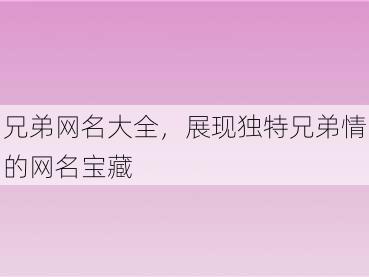 兄弟网名大全，展现独特兄弟情的网名宝藏