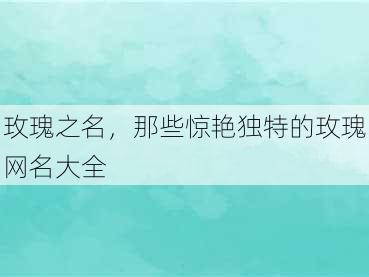 玫瑰之名，那些惊艳独特的玫瑰网名大全