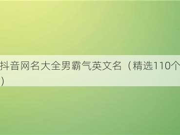 抖音网名大全男霸气英文名（精选110个）
