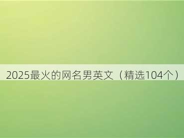2025最火的网名男英文(精选104个)
