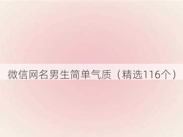 微信网名男生简单气质（精选116个）